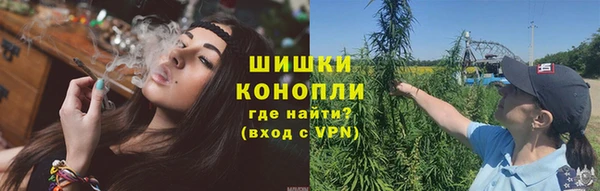 стафф Вяземский
