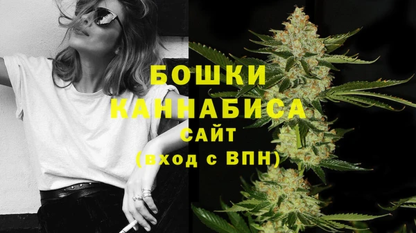 стафф Вяземский